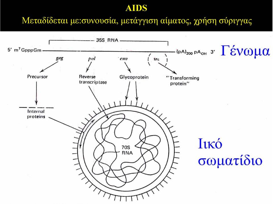 µε:συνουσία,