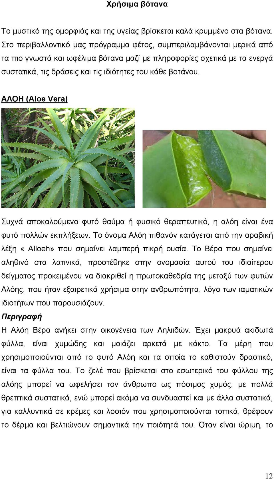 βοτάνου. ΑΛΟΗ (Aloe Vera) Συχνά αποκαλούµενο φυτό θαύµα ή φυσικό θεραπευτικό, η αλόη είναι ένα φυτό πολλών εκπλήξεων.