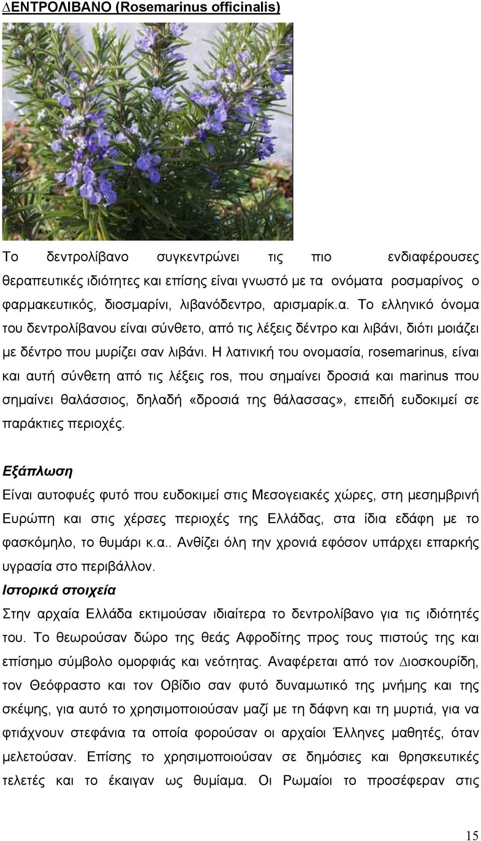 Η λατινική του ονοµασία, rosemarinus, είναι και αυτή σύνθετη από τις λέξεις ros, που σηµαίνει δροσιά και marinus που σηµαίνει θαλάσσιος, δηλαδή «δροσιά της θάλασσας», επειδή ευδοκιµεί σε παράκτιες