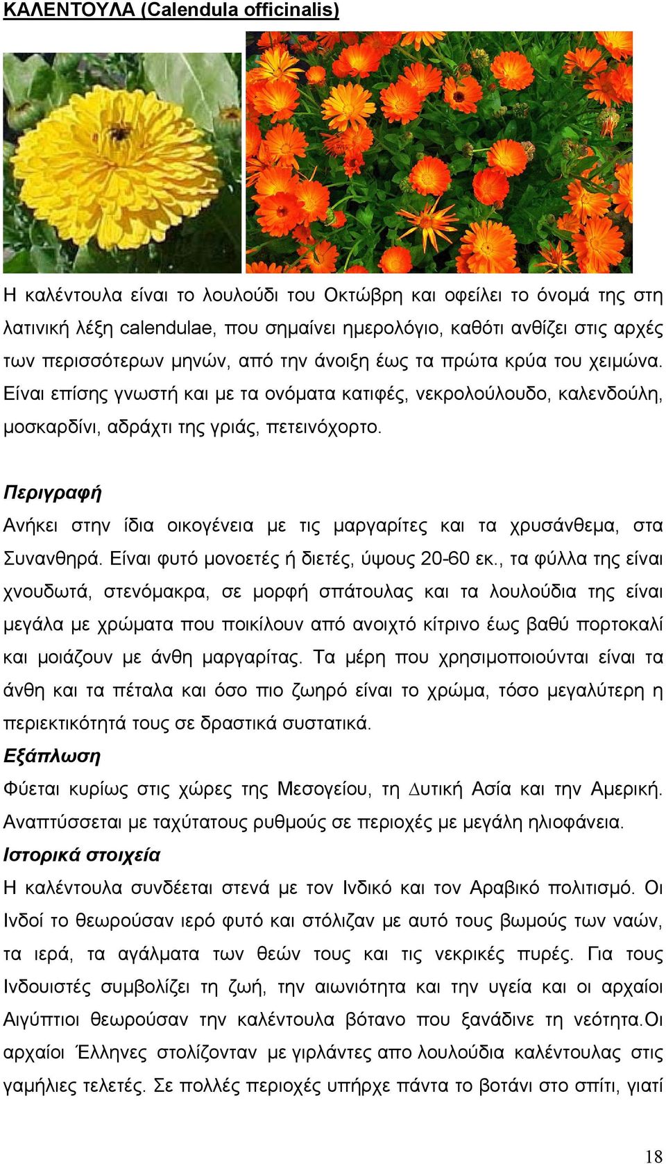 Περιγραφή Ανήκει στην ίδια οικογένεια µε τις µαργαρίτες και τα χρυσάνθεµα, στα Συνανθηρά. Είναι φυτό µονοετές ή διετές, ύψους 20-60 εκ.