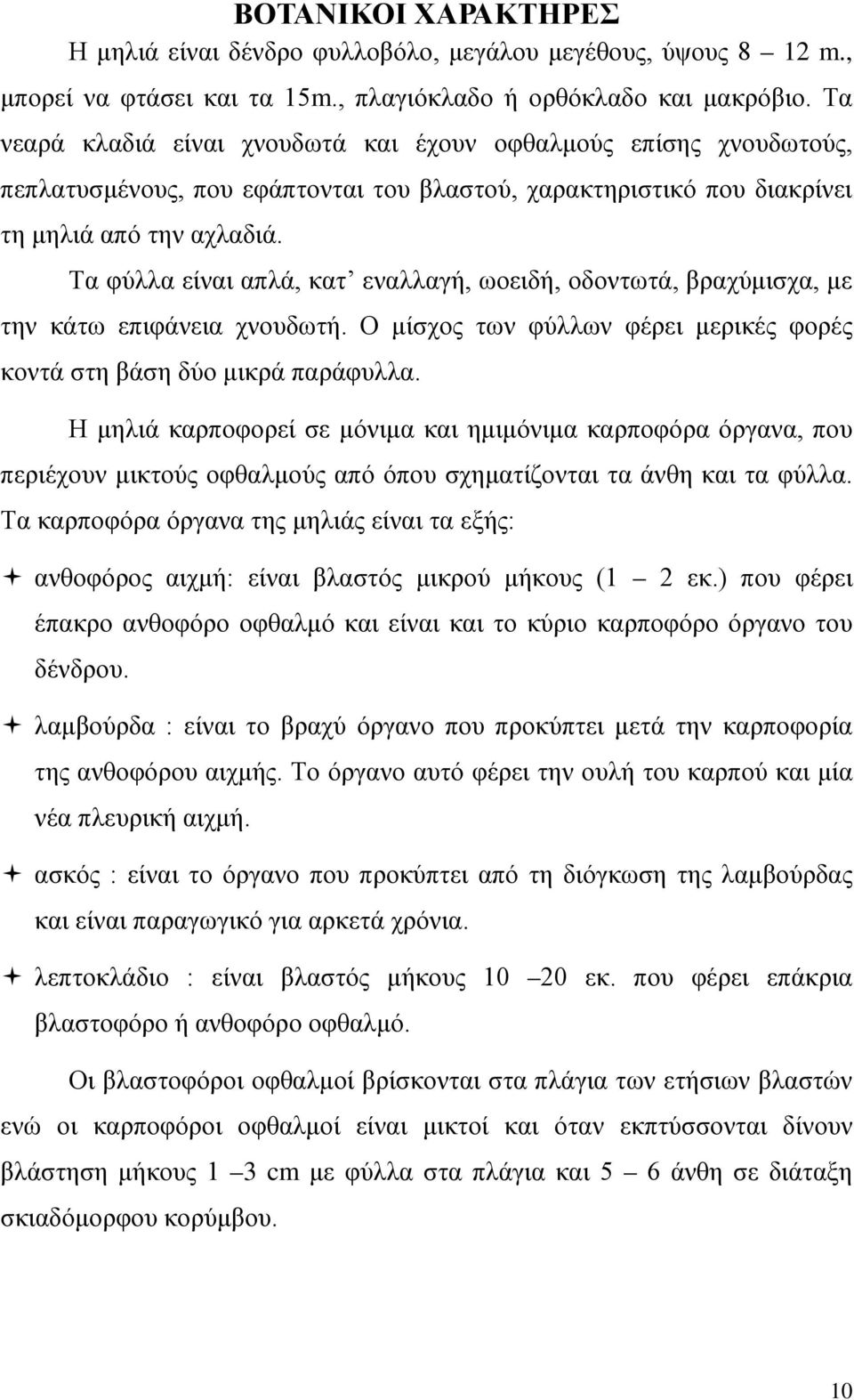 Τα φύλλα είναι απλά, κατ εναλλαγή, ωοειδή, οδοντωτά, βραχύμισχα, με την κάτω επιφάνεια χνουδωτή. Ο μίσχος των φύλλων φέρει μερικές φορές κοντά στη βάση δύο μικρά παράφυλλα.