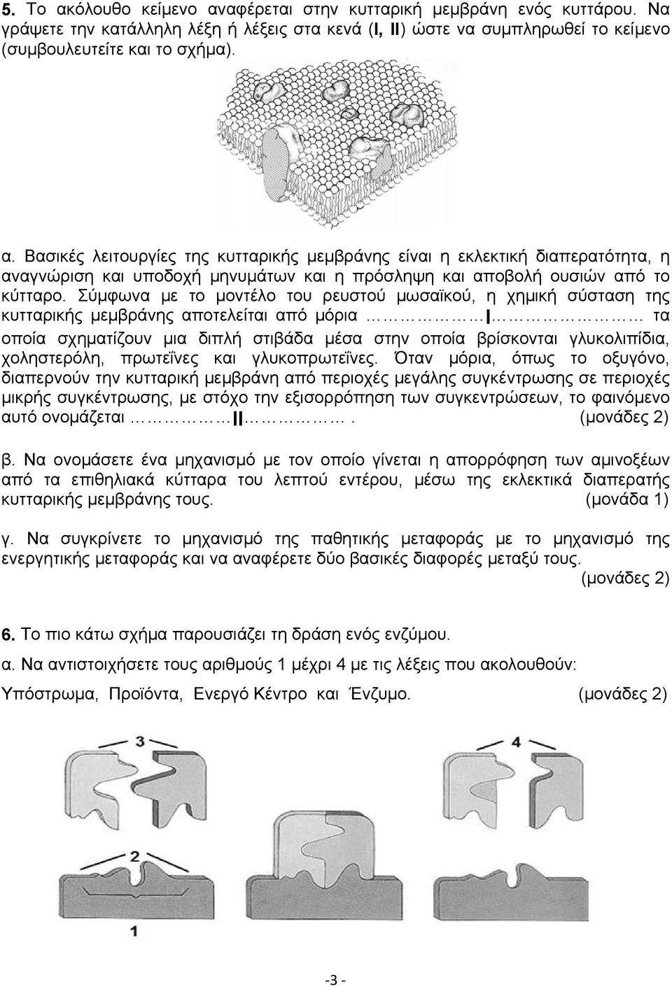 χοληστερόλη, πρωτεΐνες και γλυκοπρωτεΐνες.