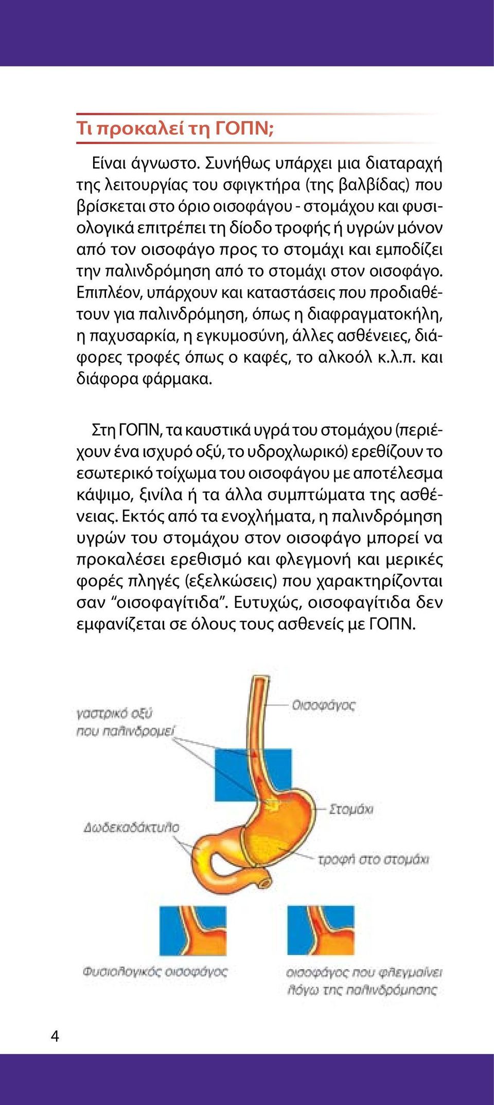 στομάχι και εμποδίζει την παλινδρόμηση από το στομάχι στον οισοφάγο.