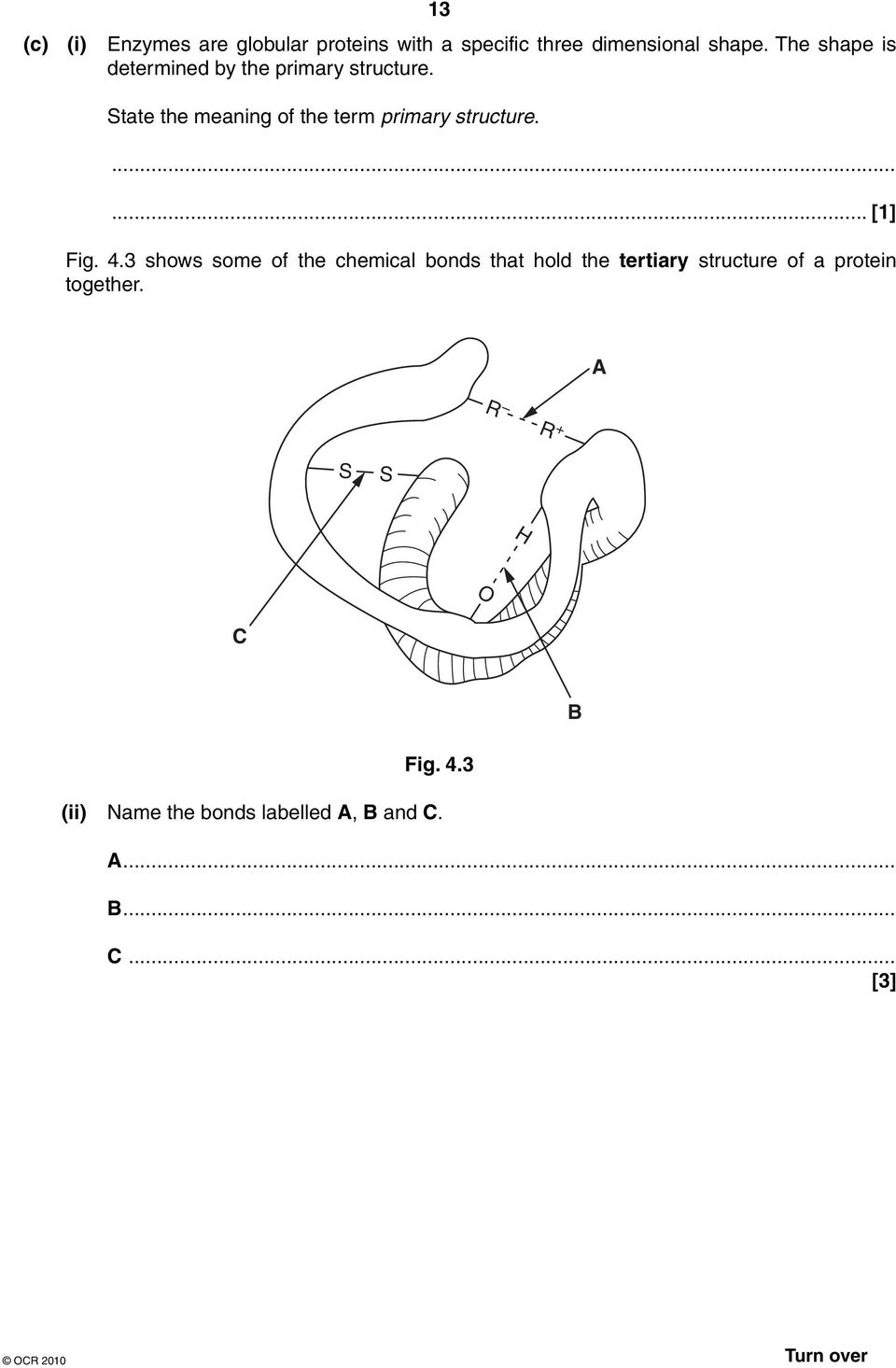 State the meaning of the term primary structure.... [1] Fig. 4.