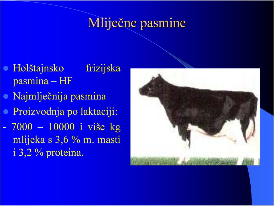 Pilići crne spolne veze