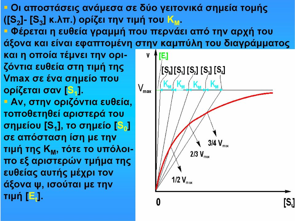 οριζόντια ευθεία στη τιμή της Vmax σε ένα σημείο που ορίζεται σαν [S 1 ].