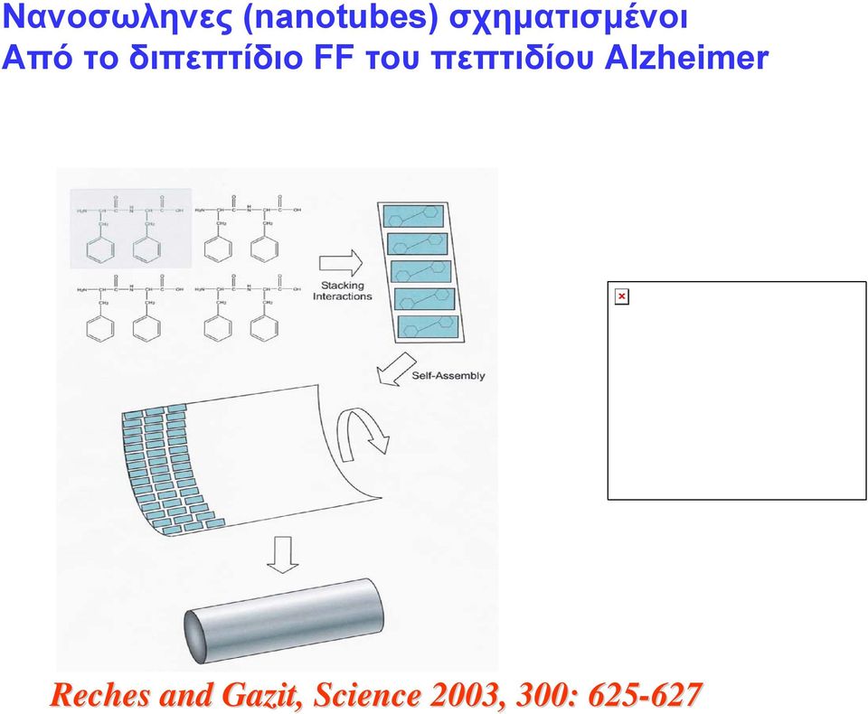 FF του πεπτιδίου Alzheimer