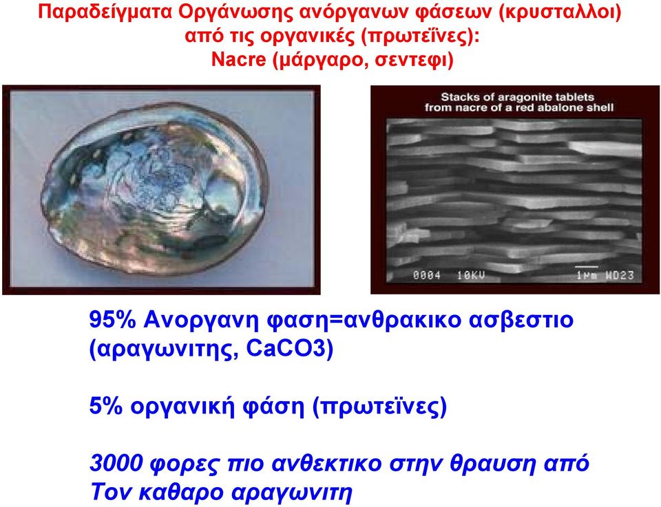 φαση=ανθρακικο ασβεστιο (αραγωνιτης, CaCO3) 5% οργανική φάση