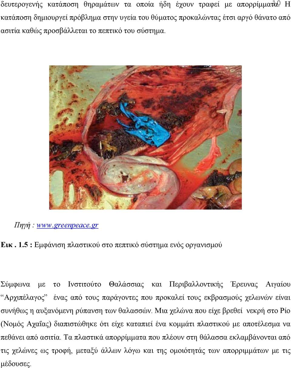5 : Εμφάνιση πλαστικού στο πεπτικό σύστημα ενός οργανισμού Σύμφωνα με το Ινστιτούτο Θαλάσσιας και Περιβαλλοντικής Έρευνας Αιγαίου Αρχιπέλαγος ένας από τους παράγοντες που προκαλεί τους εκβρασμούς