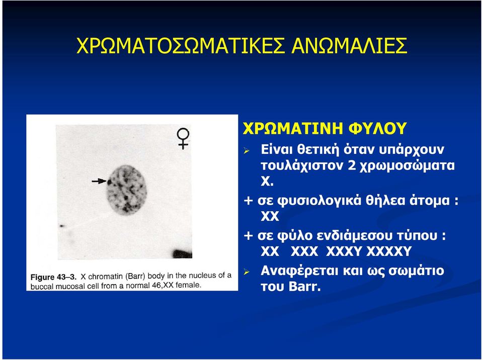 + σε φυσιολογικά θήλεα άτομα : XX + σε φύλο