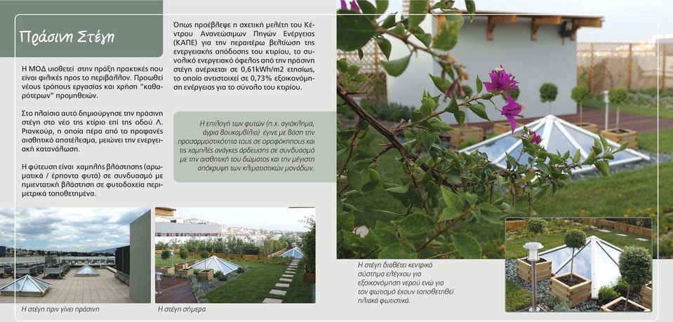 Η φύτευση είναι χαμηλής βλάστησης (αρωματικά / έρποντα φυτά) σε συνδυασμό με ημιεντατική βλάστηση σε φυτοδοχεία περιμετρικά τοποθετημένα.