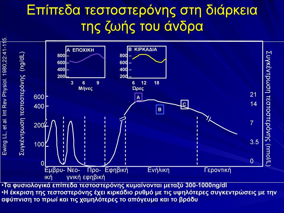 Νεο- Προ- Εφηβική Ενήλικη Γεροντική ική γνική εφηβική Τα φυσιολογικά επίπεδα τεστοστερόνης κυµαίνονται µεταξύ 300-1000ng/dl Η έκκριση της
