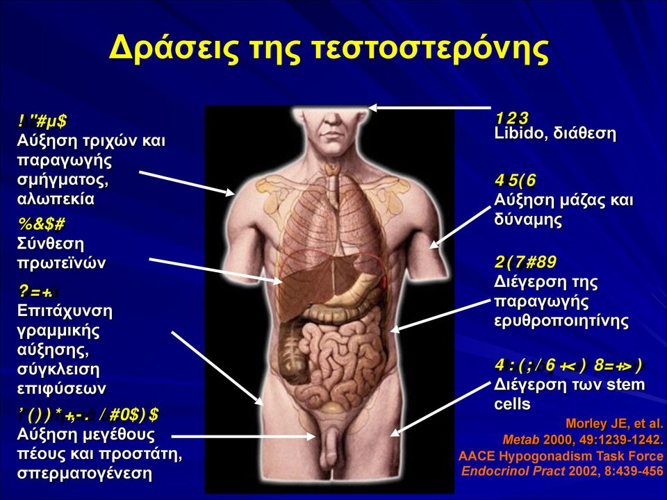 σπερµατογένεση ΚΝΣ Libido, διάθεση Μύες Αύξηση µάζας και δύναµης Νεφροί Διέγερση της παραγωγής ερυθροποιητίνης