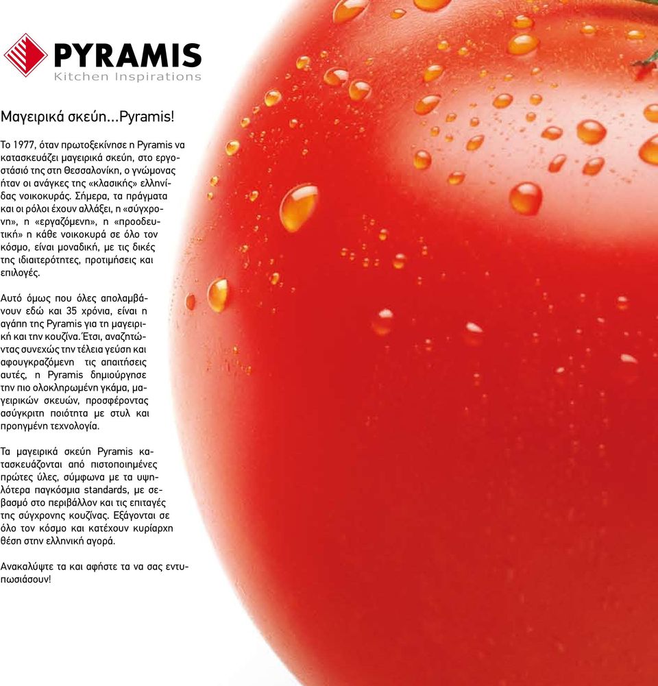 επιλογές. Αυτό όμως που όλες απολαμβάνουν εδώ και 35 χρόνια, είναι η αγάπη της Pyramis για τη μαγειρική και την κουζίνα.