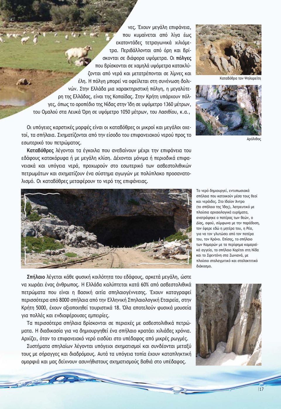 Στην Ελλάδα µια χαρακτηριστική πόλγη, η µεγαλύτερη της Ελλάδας, είναι της Κοπαίδας.