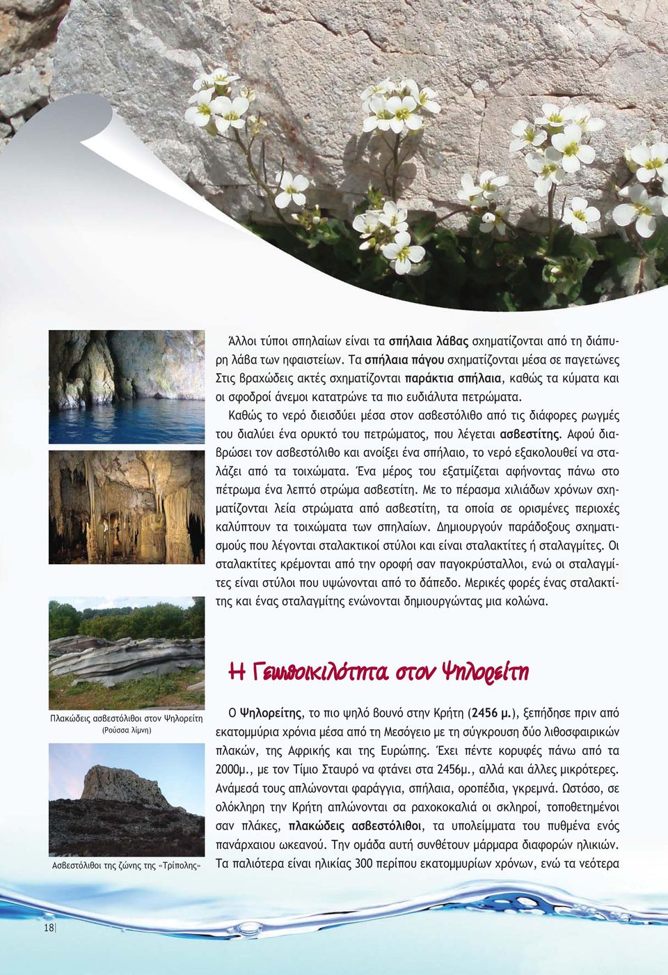 Καθώς το νερό διεισδύει µέσα στον ασβεστόλιθο από τις διάφορες ρωγµές του διαλύει ένα ορυκτό του πετρώµατος, που λέγεται ασβεστίτης.