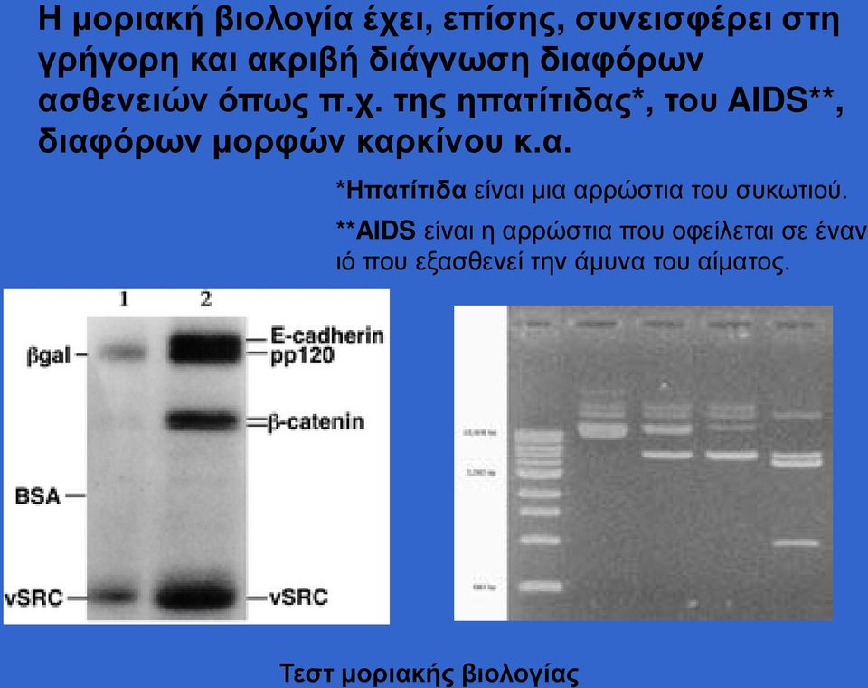 της ηπατίτιδας*, του AIDS**, διαφόρων μορφών καρκίνου κ.α. *Ηπατίτιδα είναι μια αρρώστια του συκωτιού.