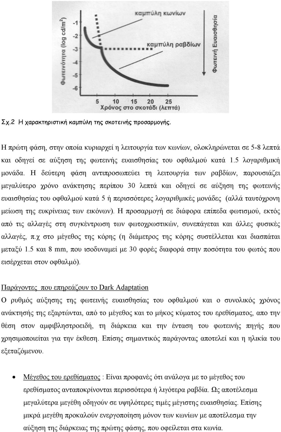 Η δεύτερη φάση αντιπροσωπεύει τη λειτουργία των ραβδίων, παρουσιάζει µεγαλύτερο χρόνο ανάκτησης περίπου 30 λεπτά και οδηγεί σε αύξηση της φωτεινής ευαισθησίας του οφθαλµού κατά 5 ή περισσότερες