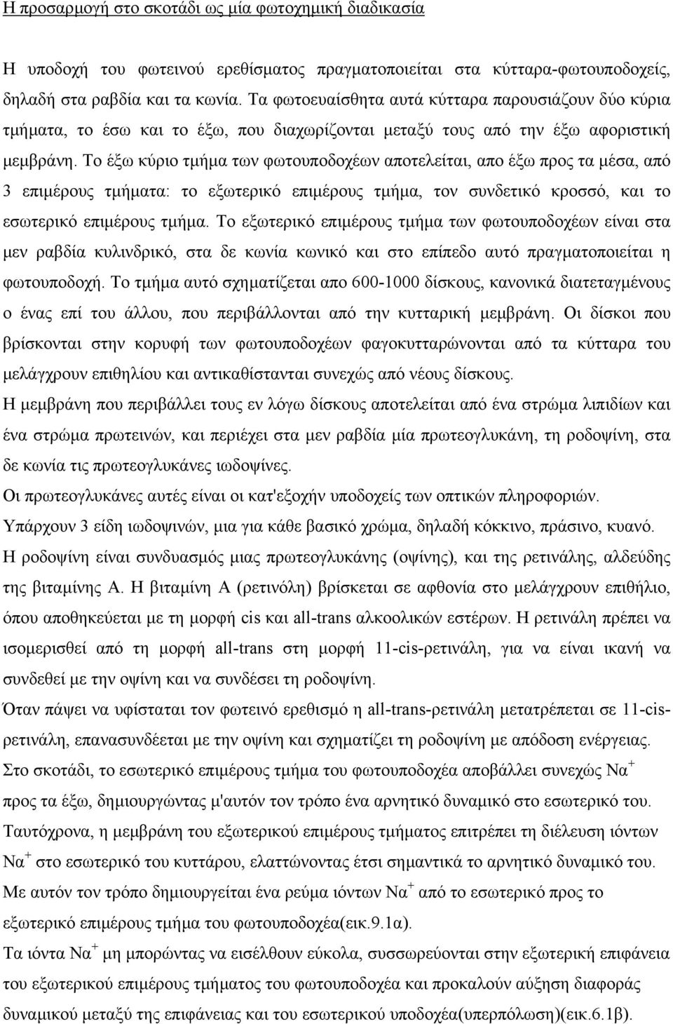 Το έξω κύριο τµήµα των φωτουποδοχέων αποτελείται, απο έξω προς τα µέσα, από 3 επιµέρους τµήµατα: το εξωτερικό επιµέρους τµήµα, τον συνδετικό κροσσό, και το εσωτερικό επιµέρους τµήµα.