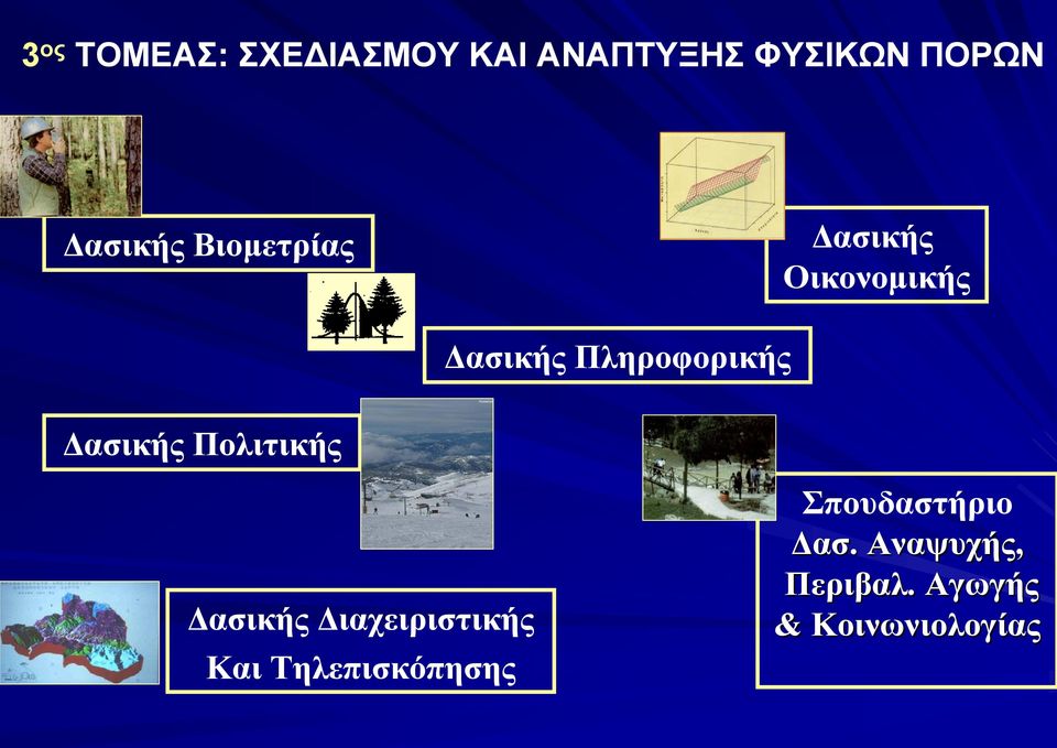 Πληροφορικής Δασικής Πολιτικής Δασικής Διαχειριστικής Και