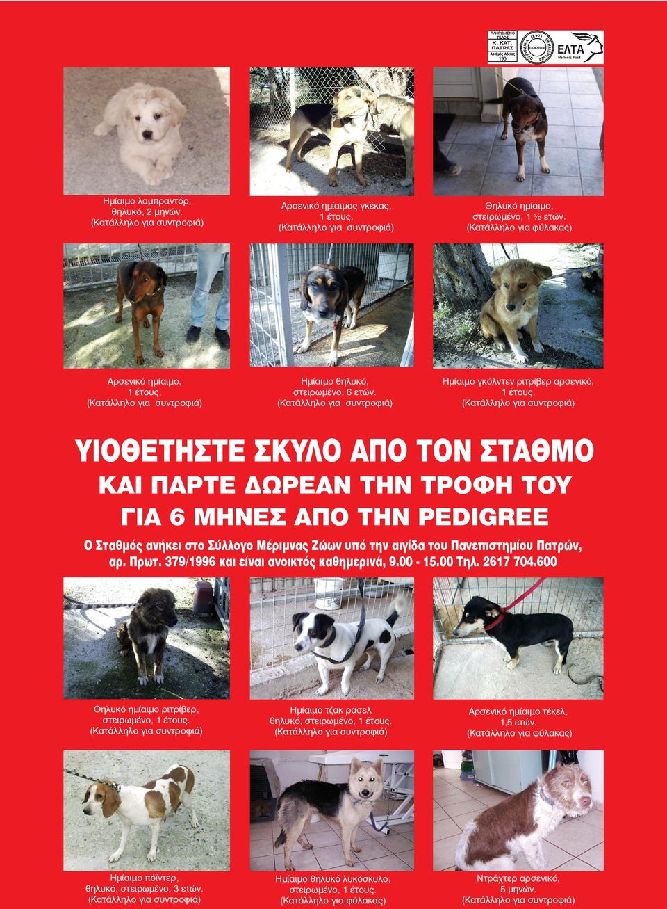 ΥΙΟΘΕΤΗΣΤΕ ΣΚΥΛΟ ΑΠΟ ΤΟΝ ΣΤΑΘΜΟ ΚΑΙ ΠΑΡΤΕ ΔΩΡΕΑΝ ΤΗΝ ΤΡΟΦΗ ΤΟΥ ΓΙΑ 6 ΜΗΝΕΣ ΑΠΟ ΤΗΝ PEDIGREE Ο Σταθμός ανήκει στο Σύλλογο Μέριμνας Ζώων υπό την αιγίδα του Πανεπιστημίου Πατρών, αρ. Πρωτ.