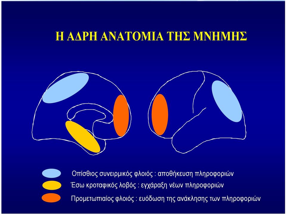 λοβός : εγχάραξη νέων πληροφοριών Page 11