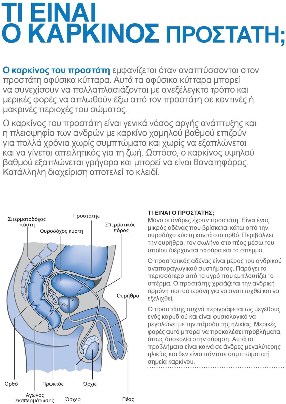 Ο καρκίνος του προστάτη είναι γενικά νόσος αργής ανάπτυξης και η πλειοψηφία των ανδρών με καρκίνο χαμηλού βαθμού επιζούν για πολλά χρόνια χωρίς συμπτώματα και χωρίς να εξαπλώνεται και να γίνεται