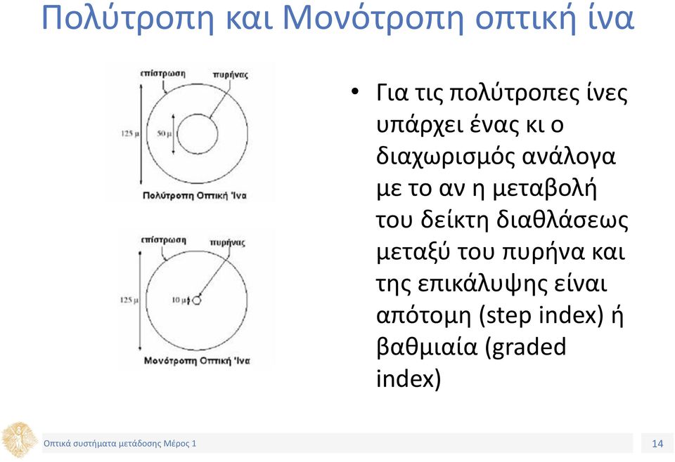 μεταβολή του δείκτη διαθλάσεως μεταξύ του πυρήνα και της