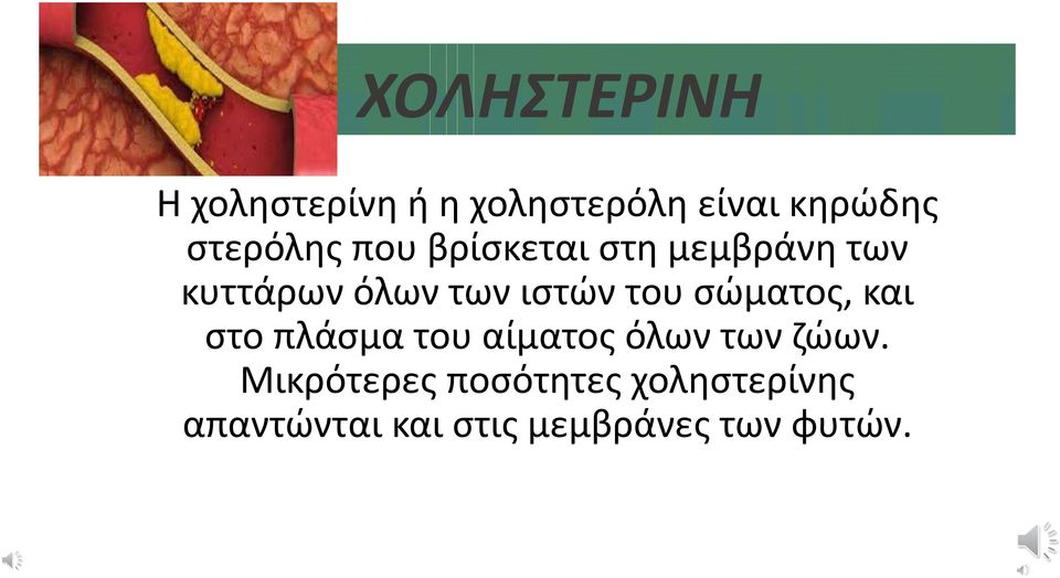 ιστών του σώματος, και στο πλάσμα του αίματος όλων των ζώων.