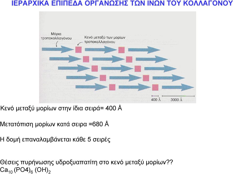 σειρα =680 Å Η δομή επαναλαμβάνεται κάθε 5 σειρές Θέσεις