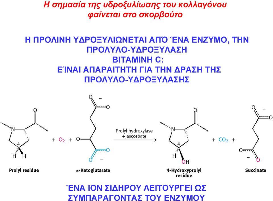 ΠΡΟΛΥΛΟ-ΥΔΡΟΞΥΛΑΣΗ ΒΙΤΑΜΙΝΗ C: ΕΊΝΑΙ ΑΠΑΡΑΙΤΗΤΗ ΓΙΑ ΤΗΝ ΔΡΑΣΗ