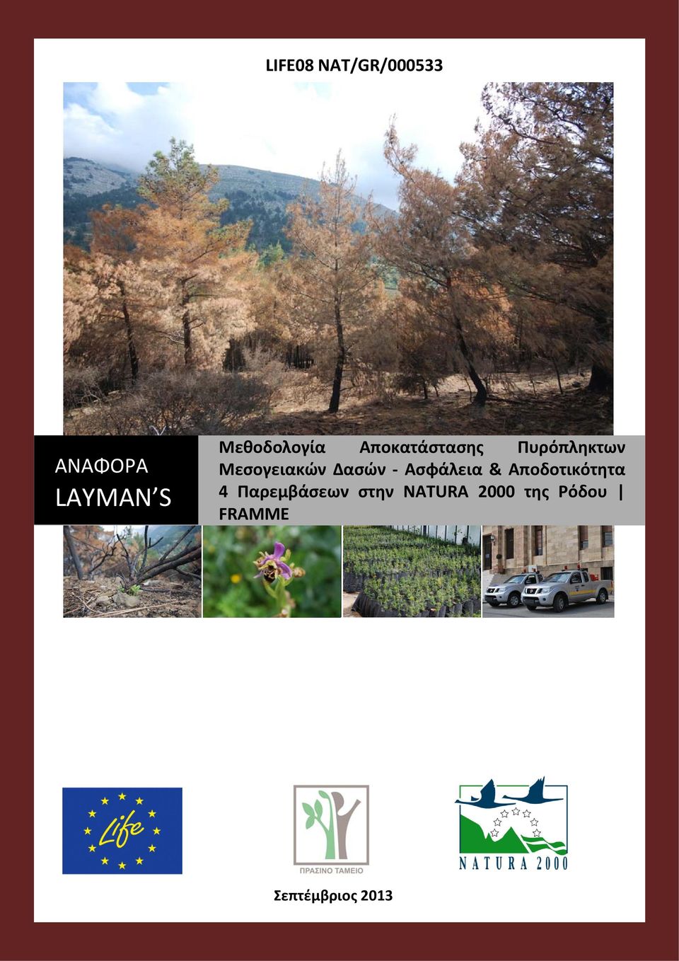 Μεσογειακών Δασών Ασφάλεια & Αποδοτικότητα 4