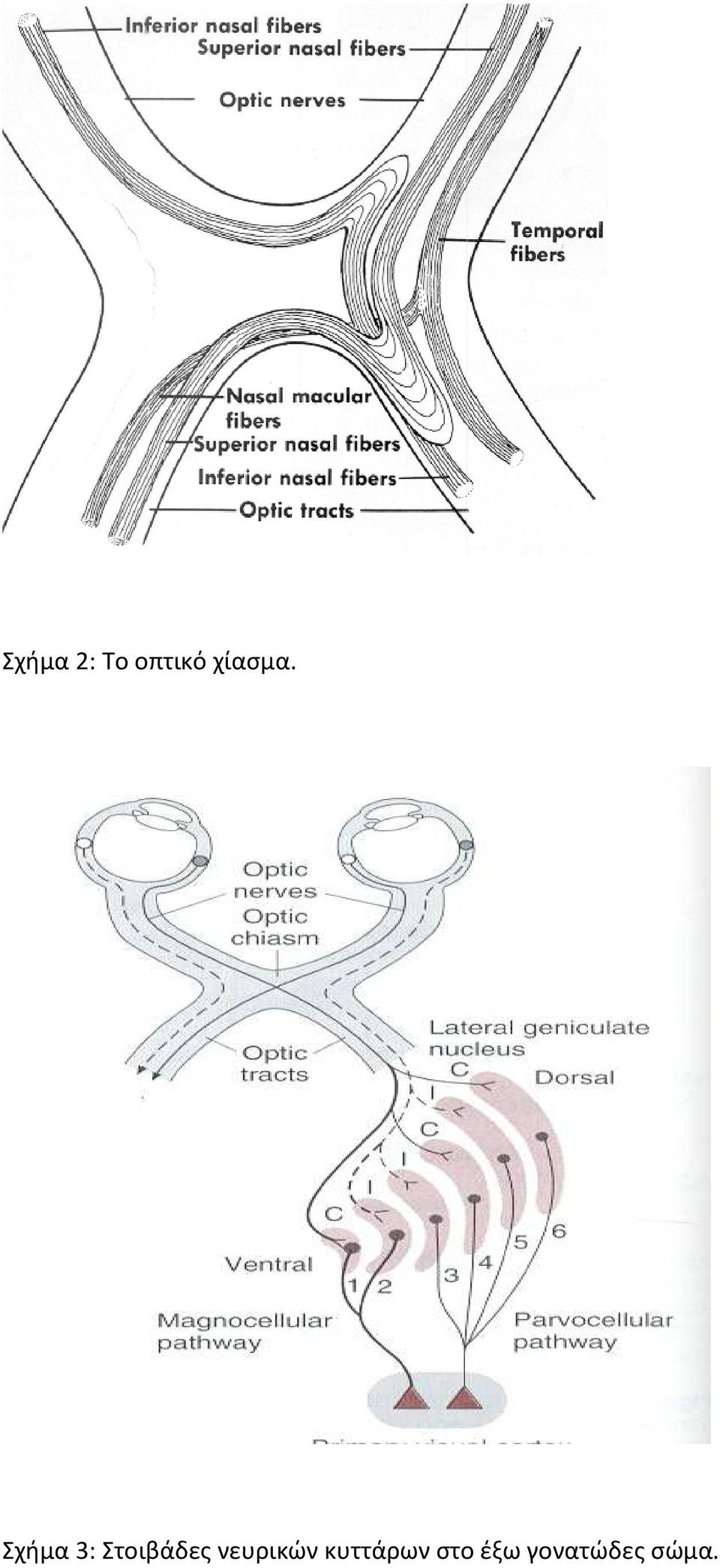 Σχήμα 3: Στοιβάδες