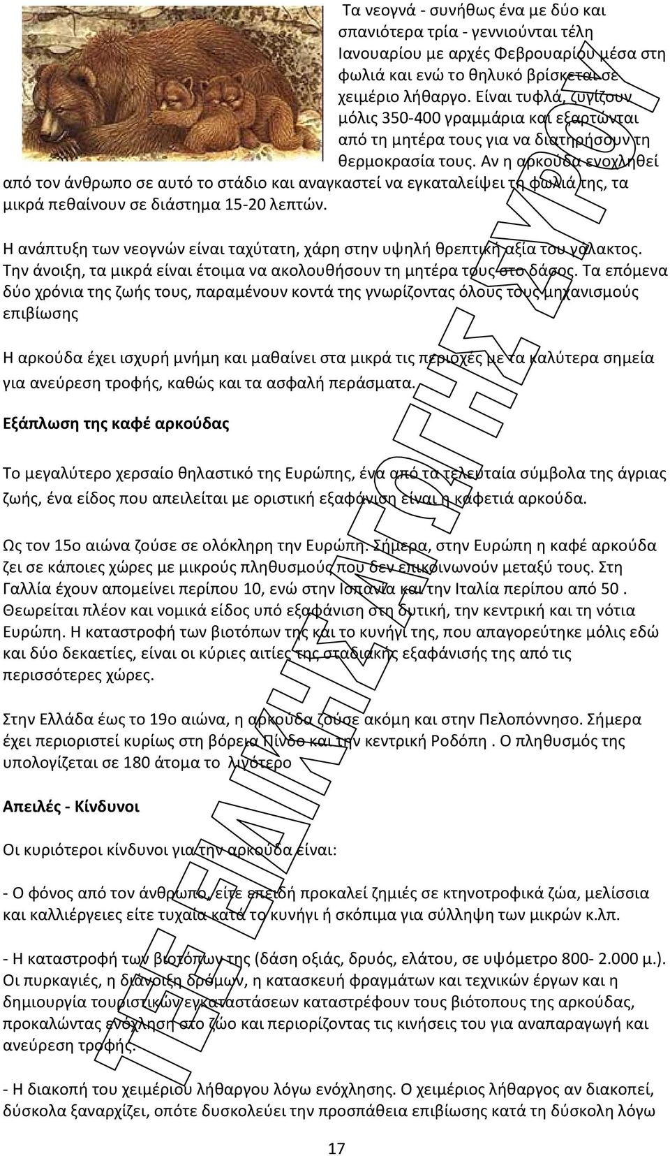 Αν η αρκούδα ενοχληθεί από τον άνθρωπο σε αυτό το στάδιο και αναγκαστεί να εγκαταλείψει τη φωλιά της, τα μικρά πεθαίνουν σε διάστημα 15-20 λεπτών.