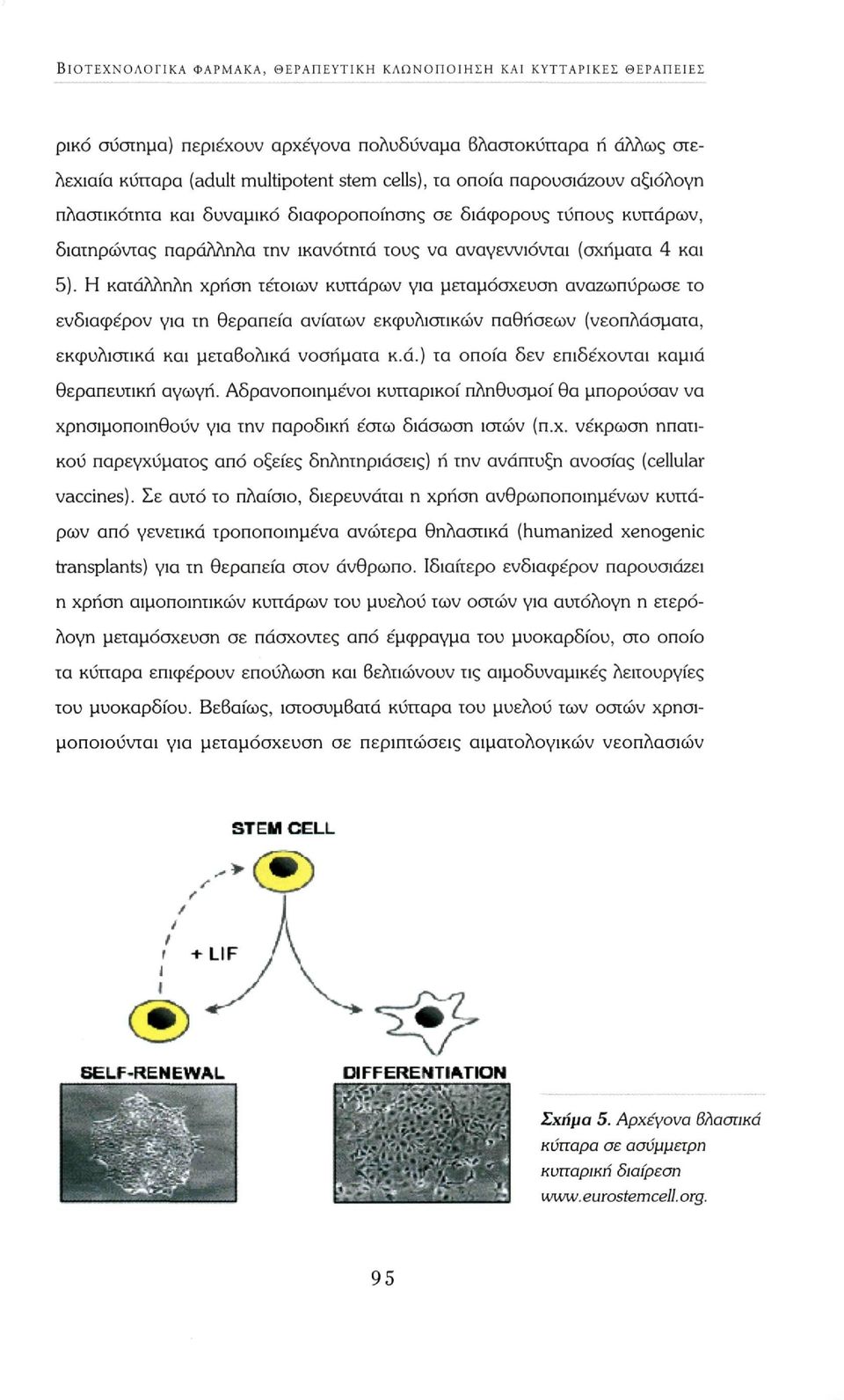 Η κατάλληλη χρήση τέτοιων κυπάρων για μεταμόσχευση αναζωπύρωσε το ενδιαφέρον για τη θεραπεία ανίατων εκφυλιστικών παθήσεων (νεοπλάσματα, εκφυλιστικά και μεταβολικά νοσήματα κ.ά.) τα οποία δεν επιδέχονται καμιά θεραπευτική αγωγή.