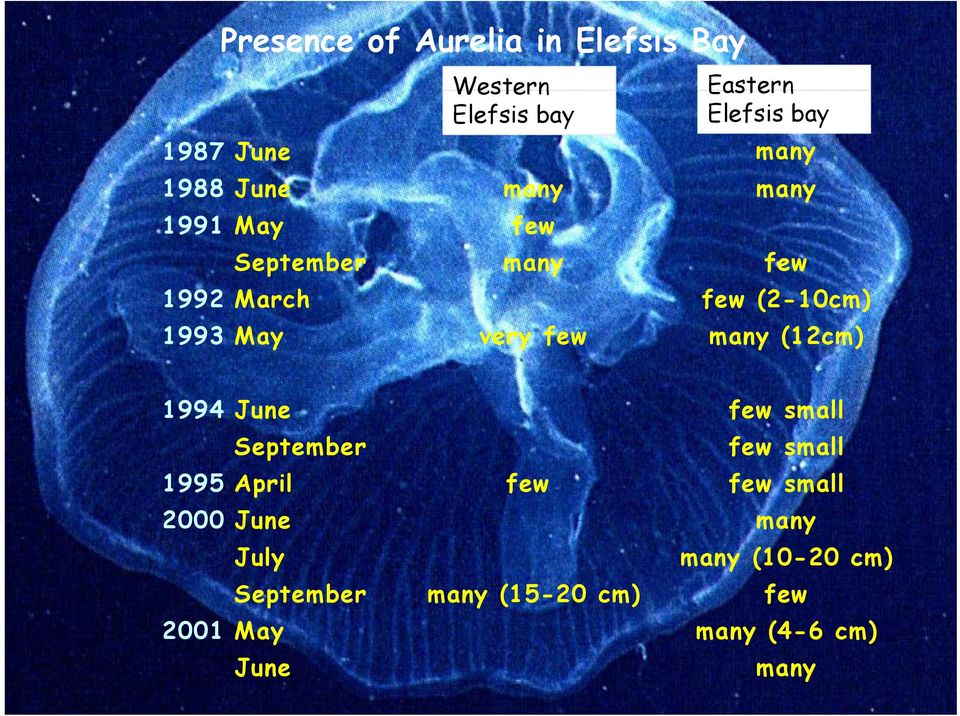 1993 May very few many (12cm) 1994 June few small September few small 1995 April few few small