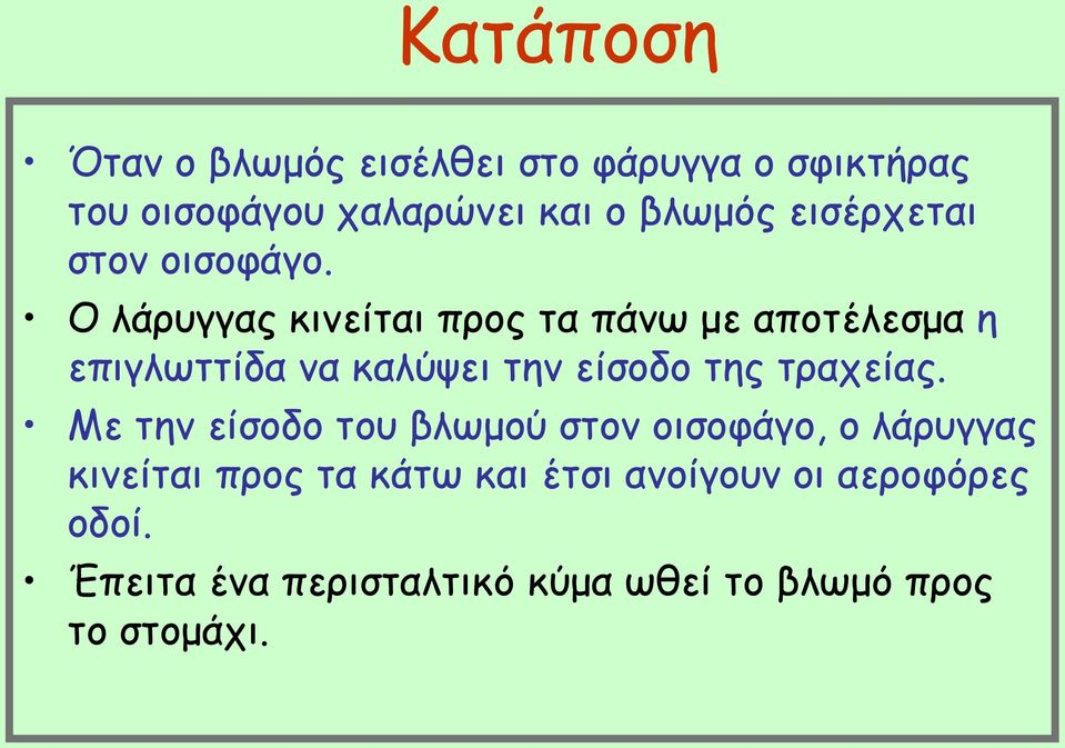 Ο λάρυγγας κινείται προς τα πάνω με αποτέλεσμα η επιγλωττίδα να καλύψει την είσοδο της τραχείας.