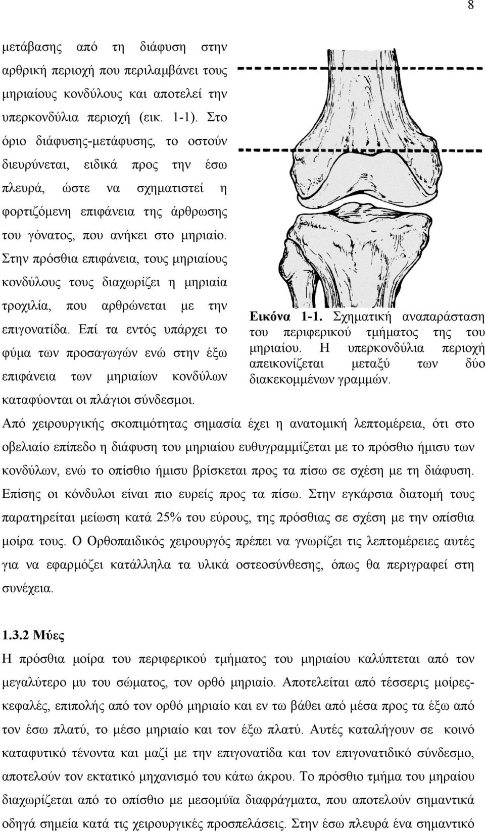 Στην πρόσθια επιφάνεια, τους µηριαίους κονδύλους τους διαχωρίζει η µηριαία τροχιλία, που αρθρώνεται µε την επιγονατίδα.