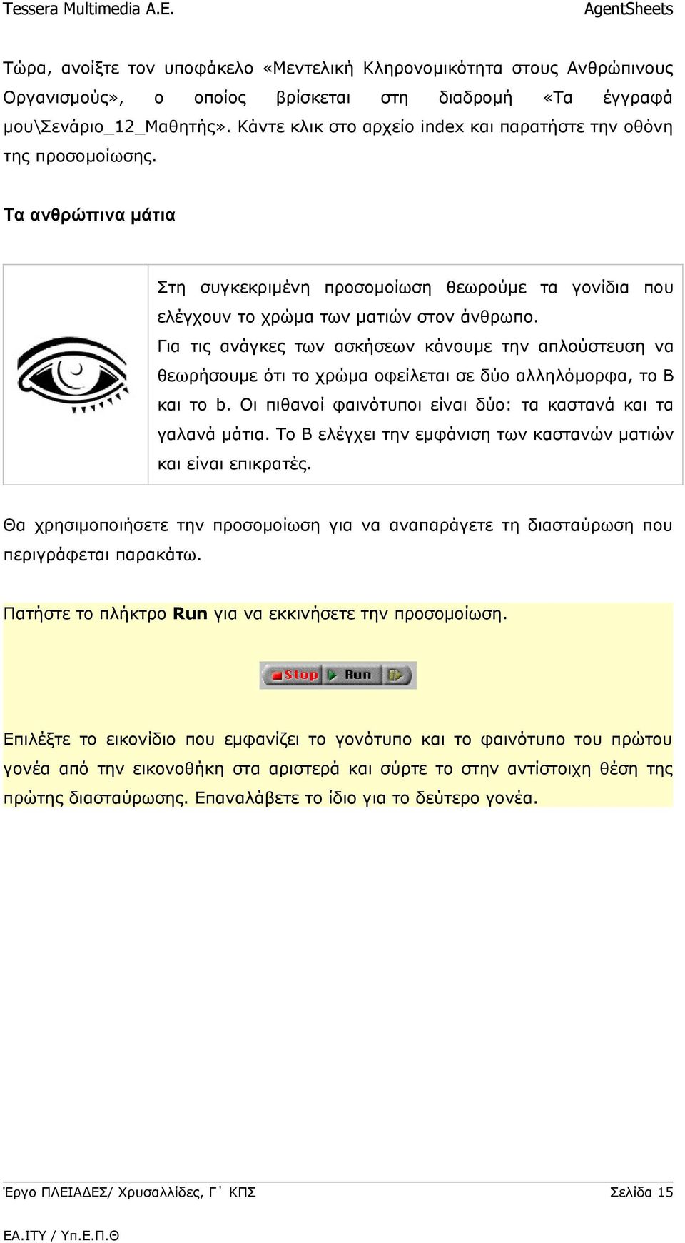 Για τις ανάγκες των ασκήσεων κάνουμε την απλούστευση να θεωρήσουμε ότι το χρώμα οφείλεται σε δύο αλληλόμορφα, το Β και το b. Οι πιθανοί φαινότυποι είναι δύο: τα καστανά και τα γαλανά μάτια.