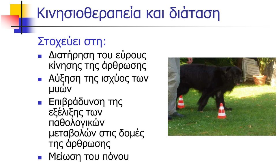 της ισχύος των μυών Eπιβράδυνση της εξέλιξης των