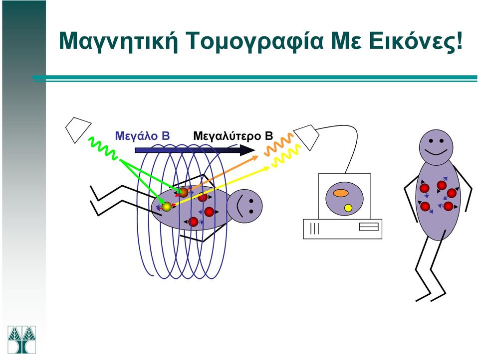 γάλο Β