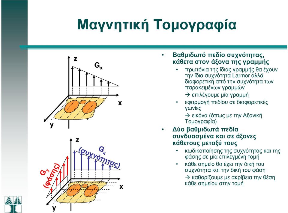 την Αξονική Τοµογραφία) ύο βαθµιδωτά πεδία συνδυασµένα και σε άξονες κάθετους µεταξύ τους κωδικοποίησης της συχνότητας και της φάσης σε