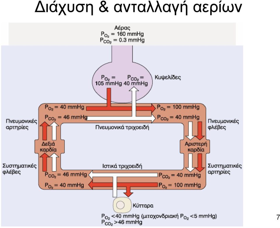 αερίων Χ.