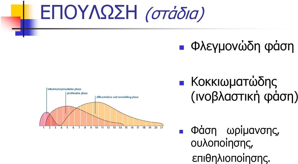 Κοκκιωματώδης (ινοβλαστική