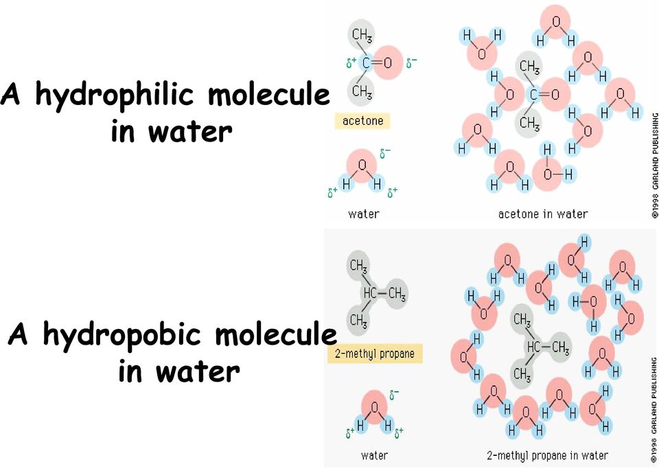 water A