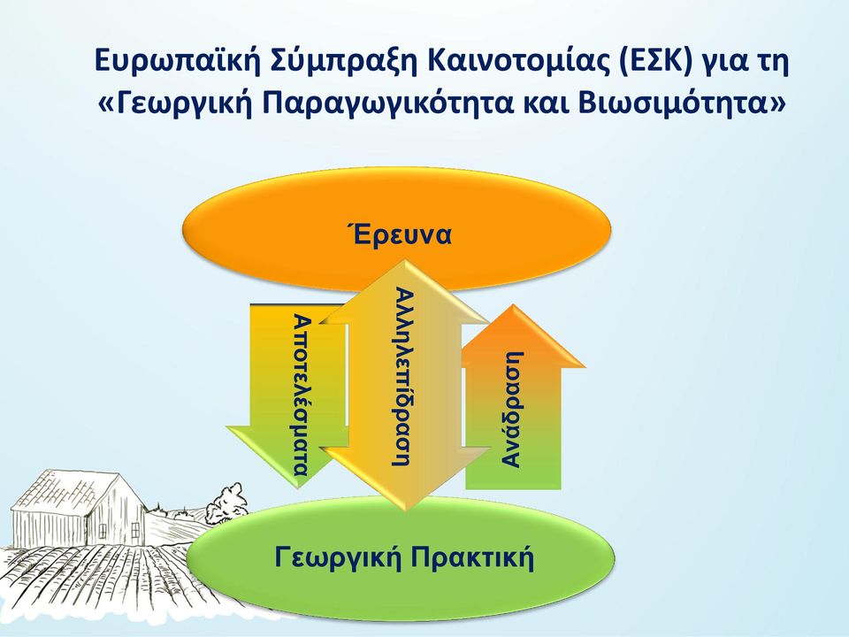 Παραγωγικότητα και Βιωσιμότητα»