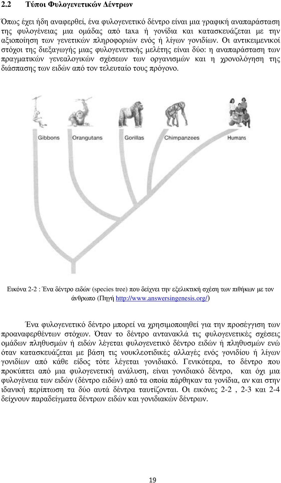 Οι αντικειµενικοί στόχοι της διεξαγωγής µιας φυλογενετικής µελέτης είναι δύο: η αναπαράσταση των πραγµατικών γενεαλογικών σχέσεων των οργανισµών και η χρονολόγηση της διάσπασης των ειδών από τον