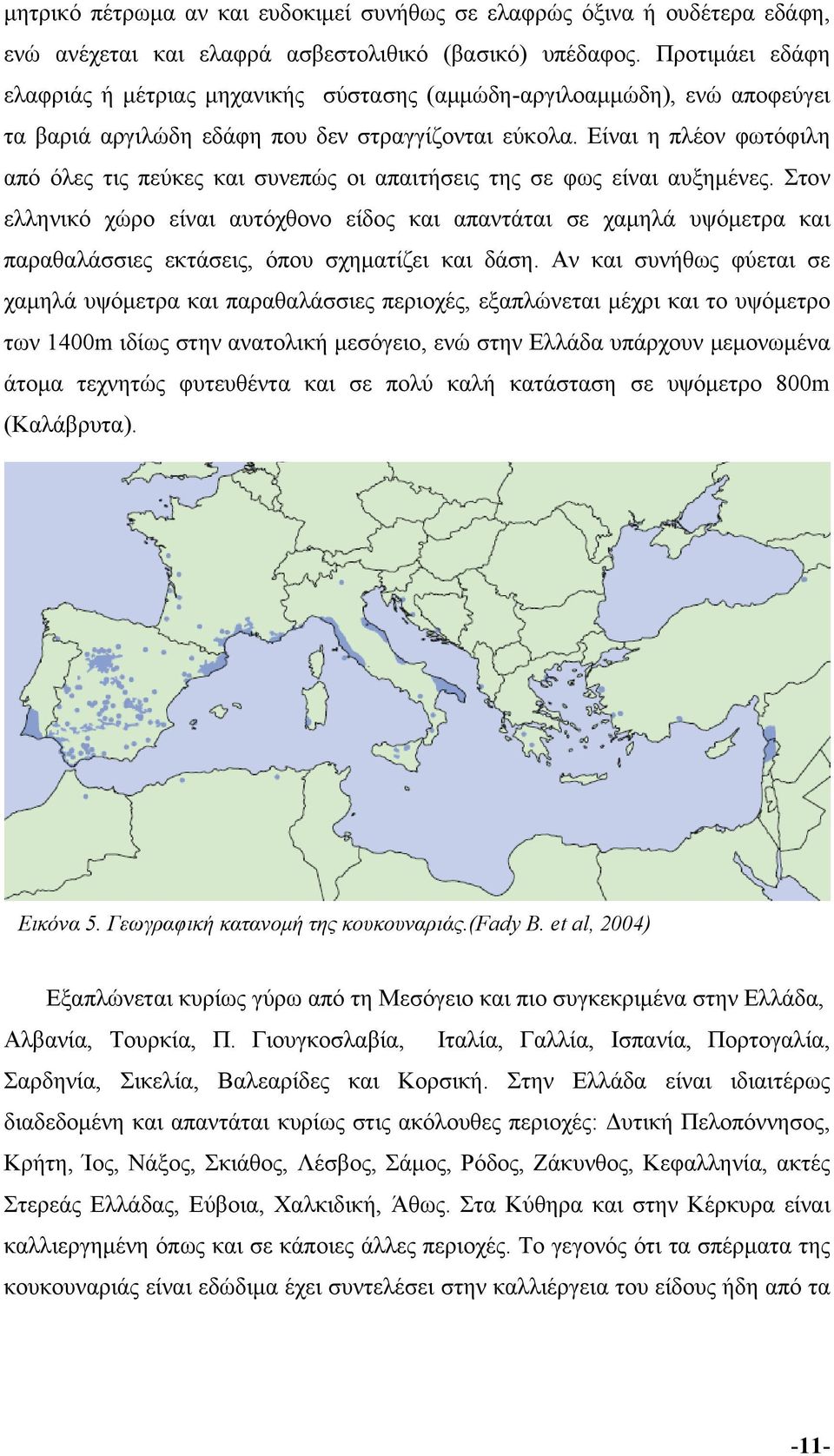 Είναι η πλέον φωτόφιλη από όλες τις πεύκες και συνεπώς οι απαιτήσεις της σε φως είναι αυξημένες.