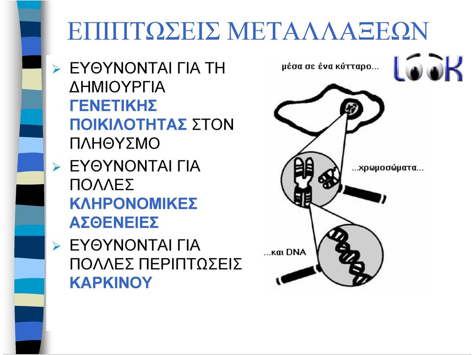 ΠΛΗΘΥΣΜΟ ΕΥΘΥΝΟΝΤΑΙ ΓΙΑ ΠΟΛΛΕΣ ΚΛΗΡΟΝΟΜΙΚΕΣ