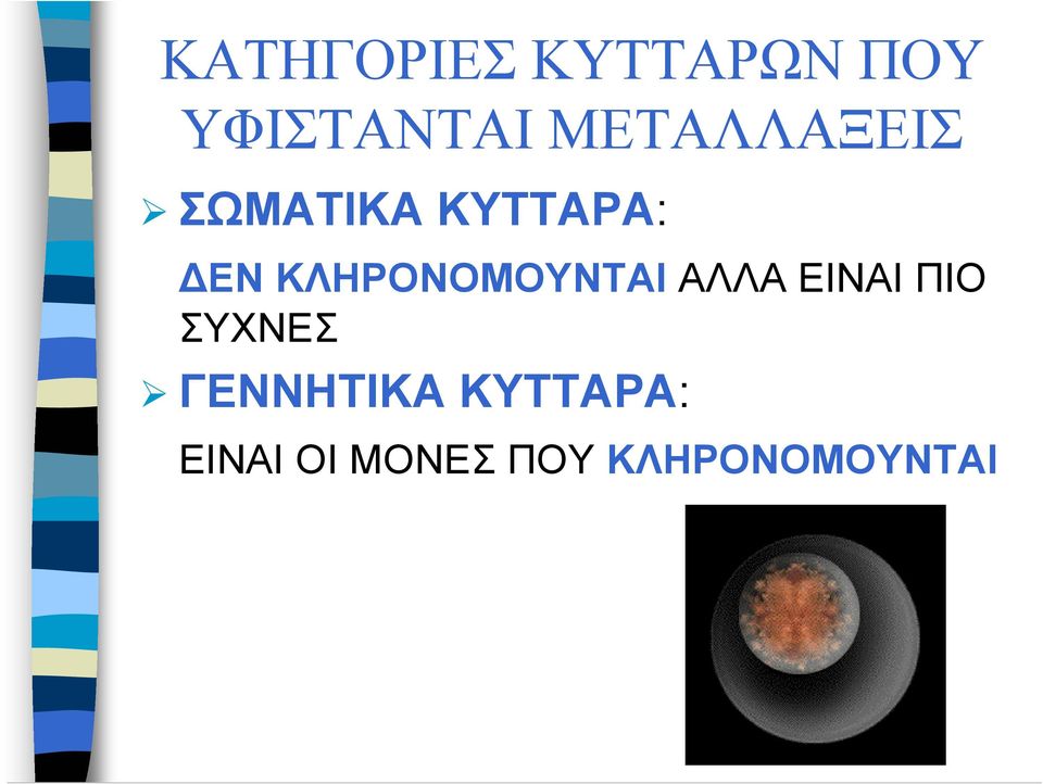 ΚΛΗΡΟΝΟΜΟΥΝΤΑΙ ΑΛΛΑ ΕΙΝΑΙ ΠΙΟ ΣΥΧΝΕΣ